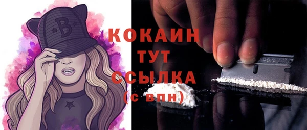 ECSTASY Алзамай