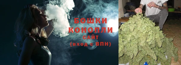 крисы Сосновоборск