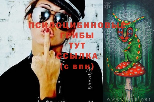 таблы Алексин