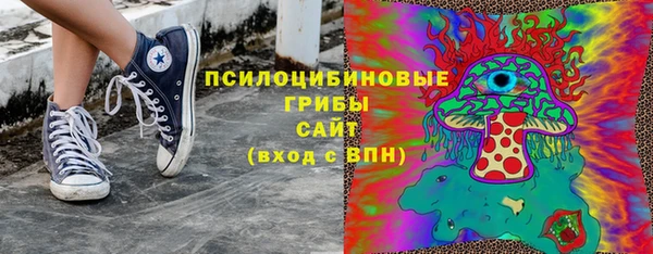 ECSTASY Алзамай