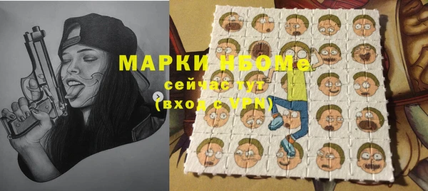 ECSTASY Алзамай