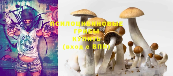 ECSTASY Алзамай